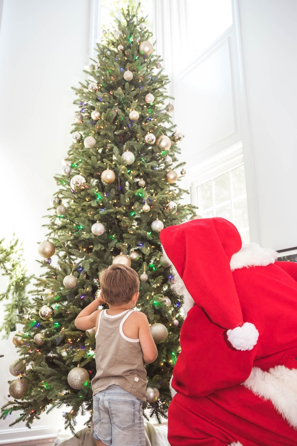 Kimberly Lapides eatsleepwear christmas themed birthday party for 4 year old